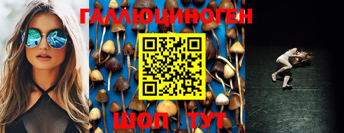 где продают   Вход с VPN  Галлюциногенные грибы ЛСД  Киселёвск  Псилоцибиновые грибы Magic Shrooms 